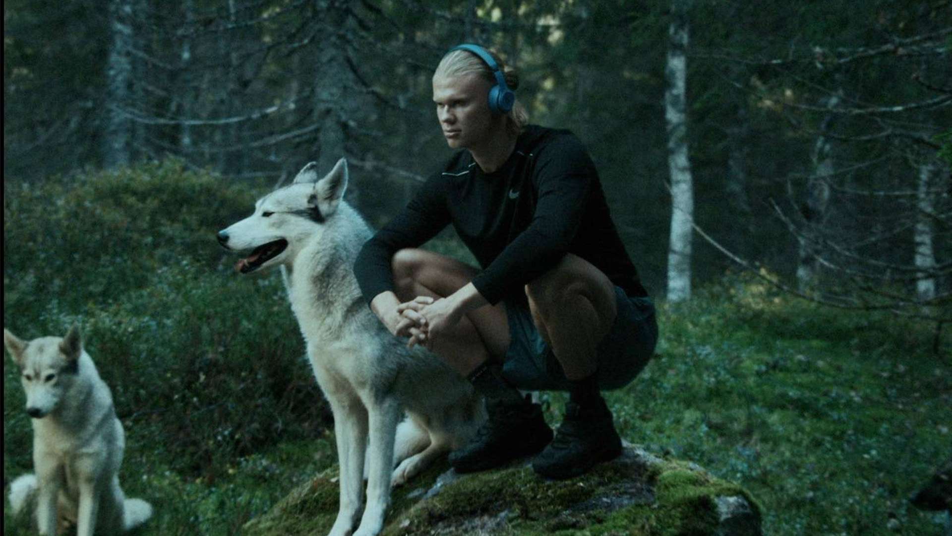 国家发展政 国家发展政